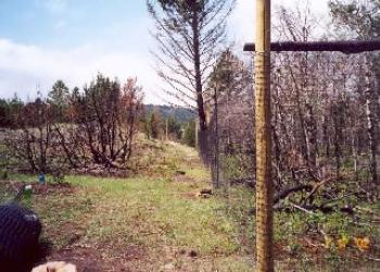 Elkhorn-NorrisMeshFence