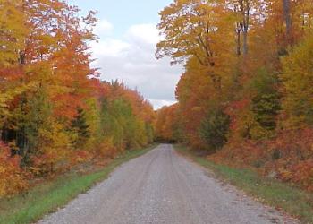 Fall Color of Eastside Road