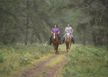Oakwood Trail - Horses