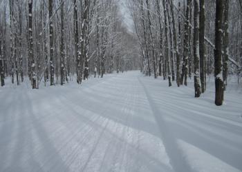 Other Permits: Snowplowed Road