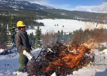 PRESCRIBED FIRE ARTICLE Pile Burning Carson RD