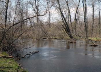 Bear Creek - creek