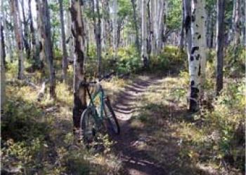 Recreation Activity - Mountain Biking