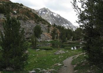 grass and dirt trail leading to small lake with mountain in background