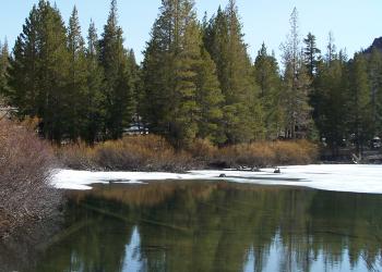 lake with tree reflections, trees, snow, sky