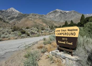 campground signage, road, foliage, sky