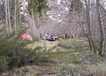 "WM, Intake 2 Walk-in Campground"
