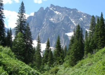 Rocky peak with some sparse snow in the Cabinet Mountains Wilderness in the distance and trees and vegetation framing in the foreground