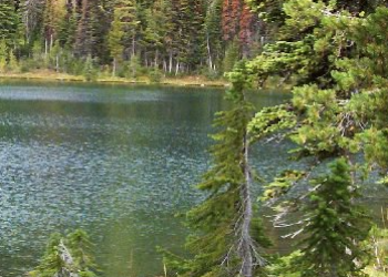 Lake with trees in foreground and along the shore in the background