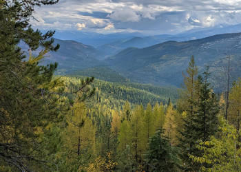 Scenic view from mountain looking across a valley under a cloudy sky. Trees are yellow with fall colors across the valley. Mountain ranges continue into the distance