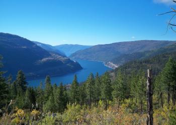 Large reservoir between mountains running in the distance with treed hillside in foreground