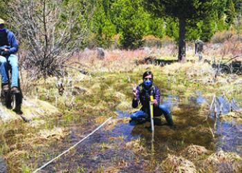 Meeks Meadow Restoration