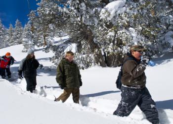 Trekking Through the Snow