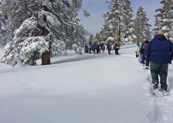 Winter Trek