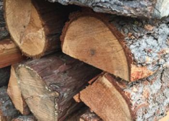 Fuelwood