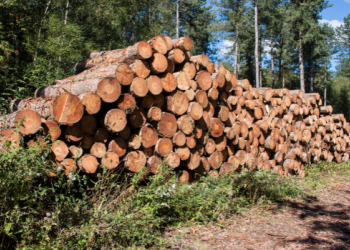 Large stack of firewood - commercial