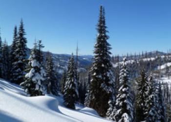 Card Top Lolo Pass Winter