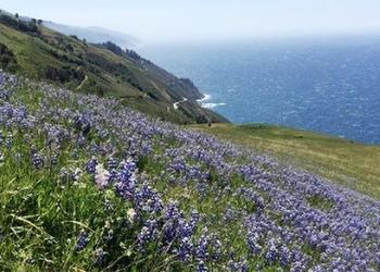 Big Sur Coast - Monterey Ranger District for overview content.