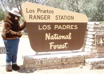 Smokey Bear  - Los Prietos Ranger Station