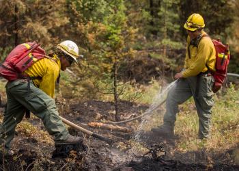fire crew working
