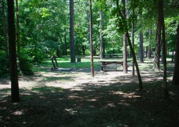Brazil Creek Picnic Area