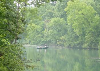 Fly fishing on the Eleven Point River