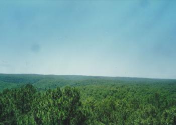 Piney Creek Wilderness View