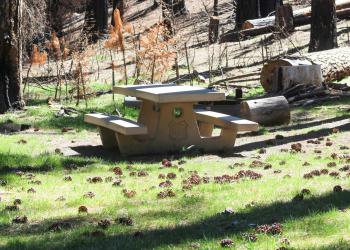 Picnic table at Kingsley Glade Campground