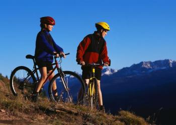 Two mountain bikers looking at scenery