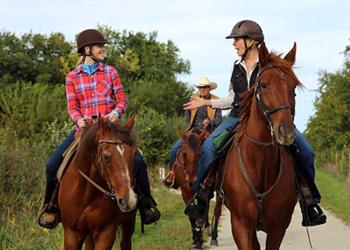 Horseback Riding Header - Darcy Newman riding crew