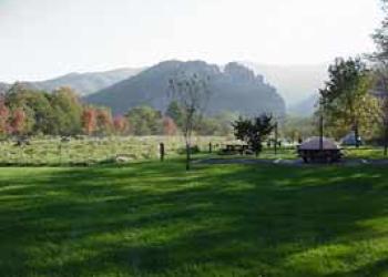 Seneca Shadows Rockview