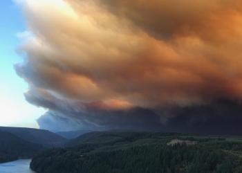 Wildfire smoke billows above the trees in the distance.