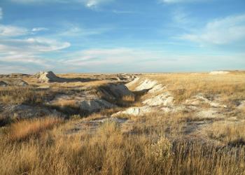 The badlands of the Buffalo Gap National Grassland covered in tall golden grass.