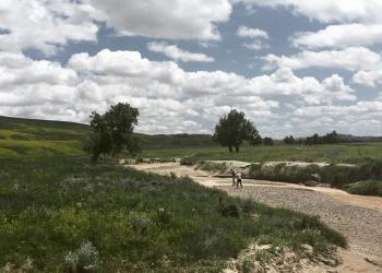 Two people walk in a dry creek bed with green grass all around and a sky filled with fluffy clouds.