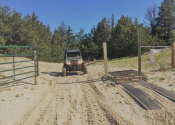 Side-by-side on Bessey OHV Trail System