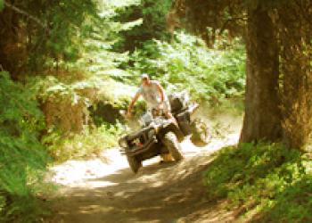 Man on 4-wheeler in wooded area 