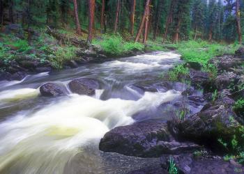 North Fork of the Crooked River