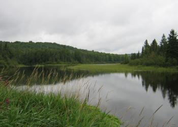 Bruel Lake