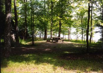 Campsite at Bobcat Lake Campground