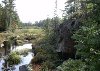 McCormick Wilderness