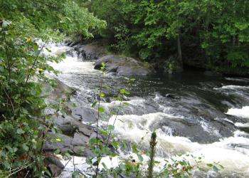 River at Burned Dam