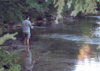 Stream Fishing