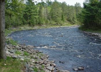 Sturgeon River