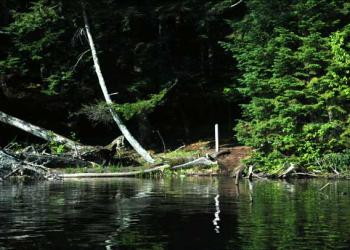Sylvania Wilderness Campsite view from water