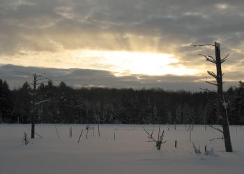 Sylvania Wilderness