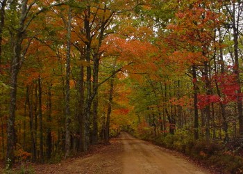 Autumn in the Ozarks
