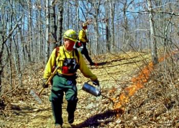 Prescribed Fire Drip Torch