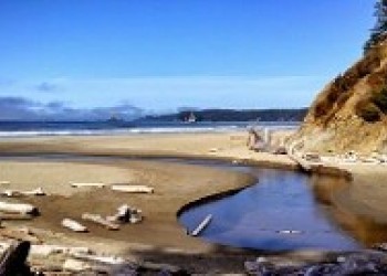 Olympic NP beach