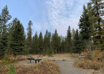 Cold Springs CG Group Site