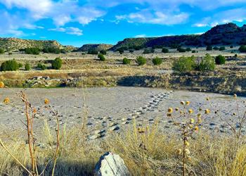 Dinosaur Trackway